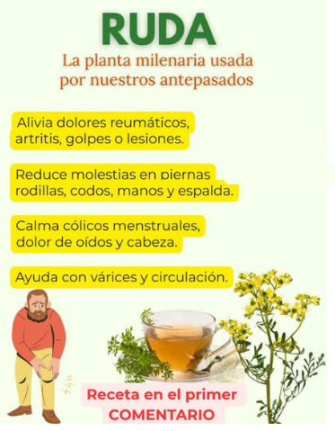 Infusión de ruda