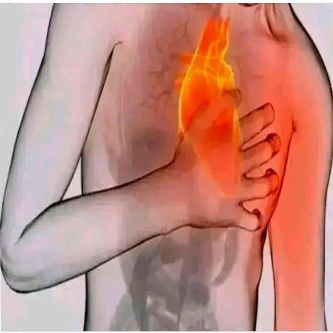 Salud Cardiovascular