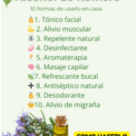 10 Formas Sorprendentes de Usar el Alcohol de Romero en Casa