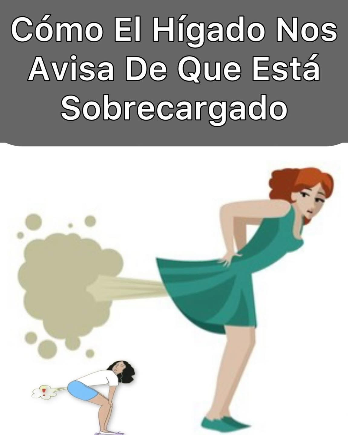 Cómo El Hígado Nos Avisa De Que Está Sobrecargado