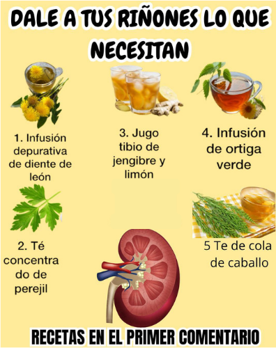 Guía sobre remedios naturales para apoyar la salud de los riñones