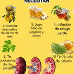 Remedios Naturales para la Salud Renal: Infusiones y Jugos