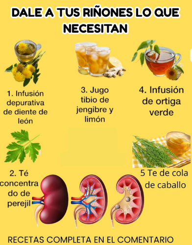 Infusiones y jugos naturales para la salud renal
