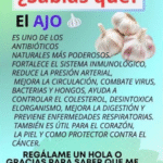 Los Invalorables Beneficios del Ajo para la Salud: Más que un Sazonador