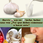 Los Increíbles Beneficios de Hervir Ajo en Leche