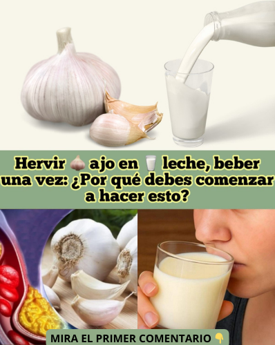 Beneficios de hervir ajo en leche