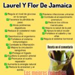 Beneficios del Té de Canela, Laurel y Flor de Jamaica para tu Salud