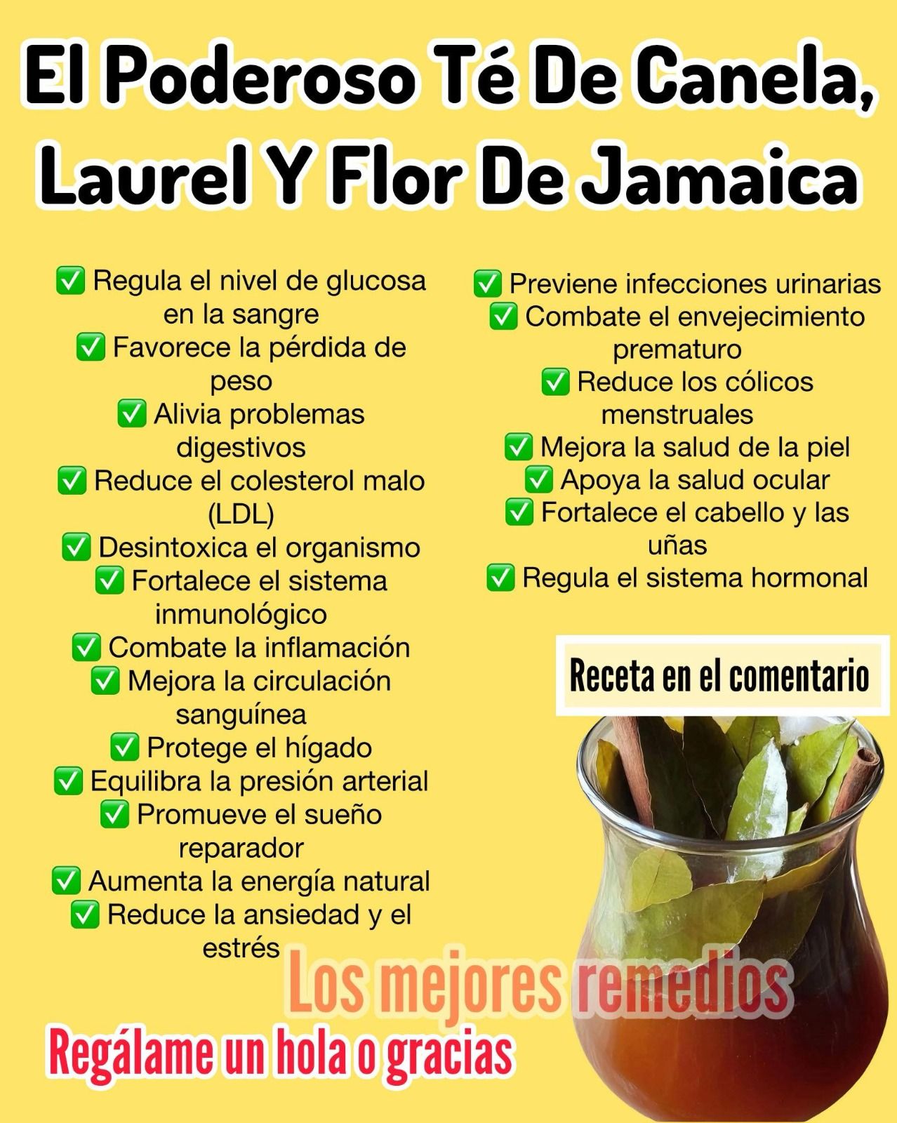 Té de canela, laurel y flor de Jamaica