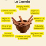 10 Beneficios Sorprendentes de la Canela: Más que un Sabor