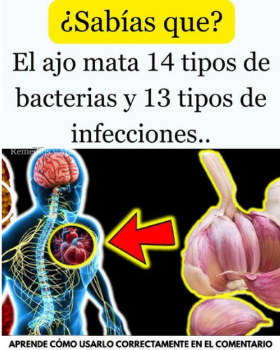 Beneficios del Ajo en la Salud