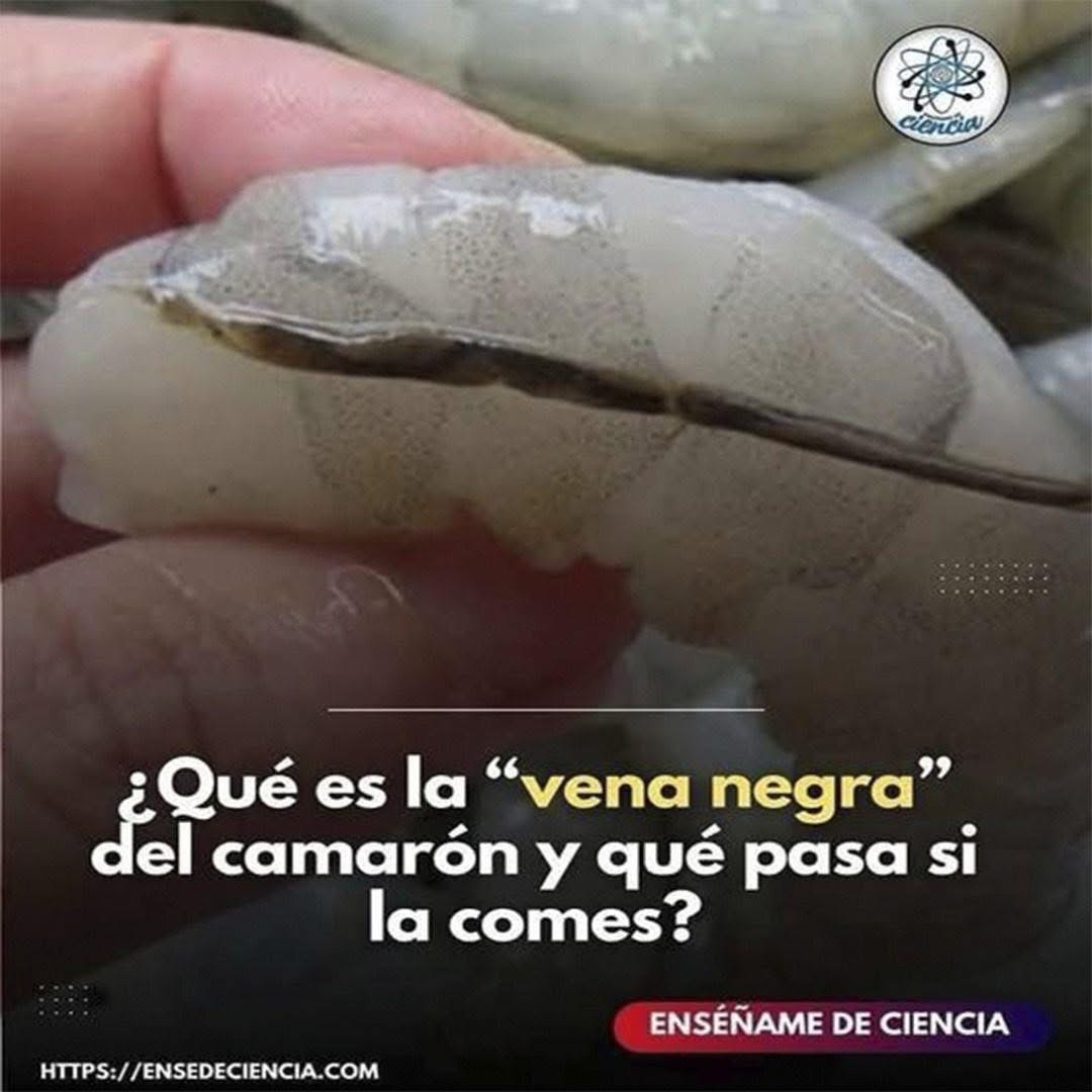 Camarón crudo con vena negra