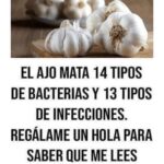 Los Increíbles Beneficios del Ajo: Un Protector Natural para tu Salud