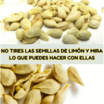 ¿Por Qué No Debes Tirar las Semillas de Limón? Beneficios y Usos Sorprendentes