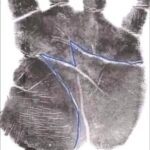 El Significado de la Letra M en la Mano: Revelando tu Personalidad