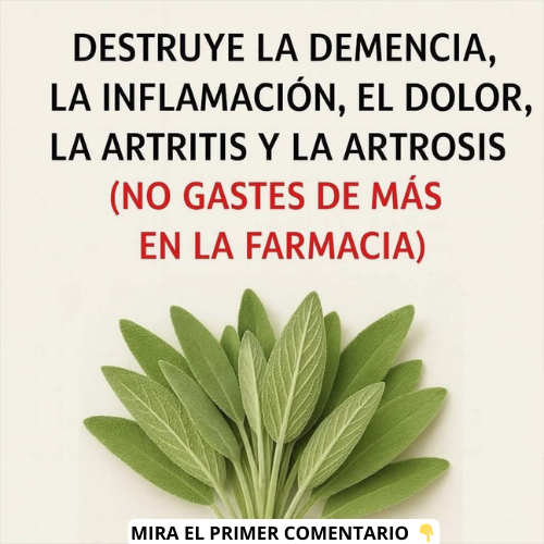 Beneficios de la Salvia
