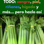 El Poder del Apio: Limpia Tu Cuerpo de Forma Natural