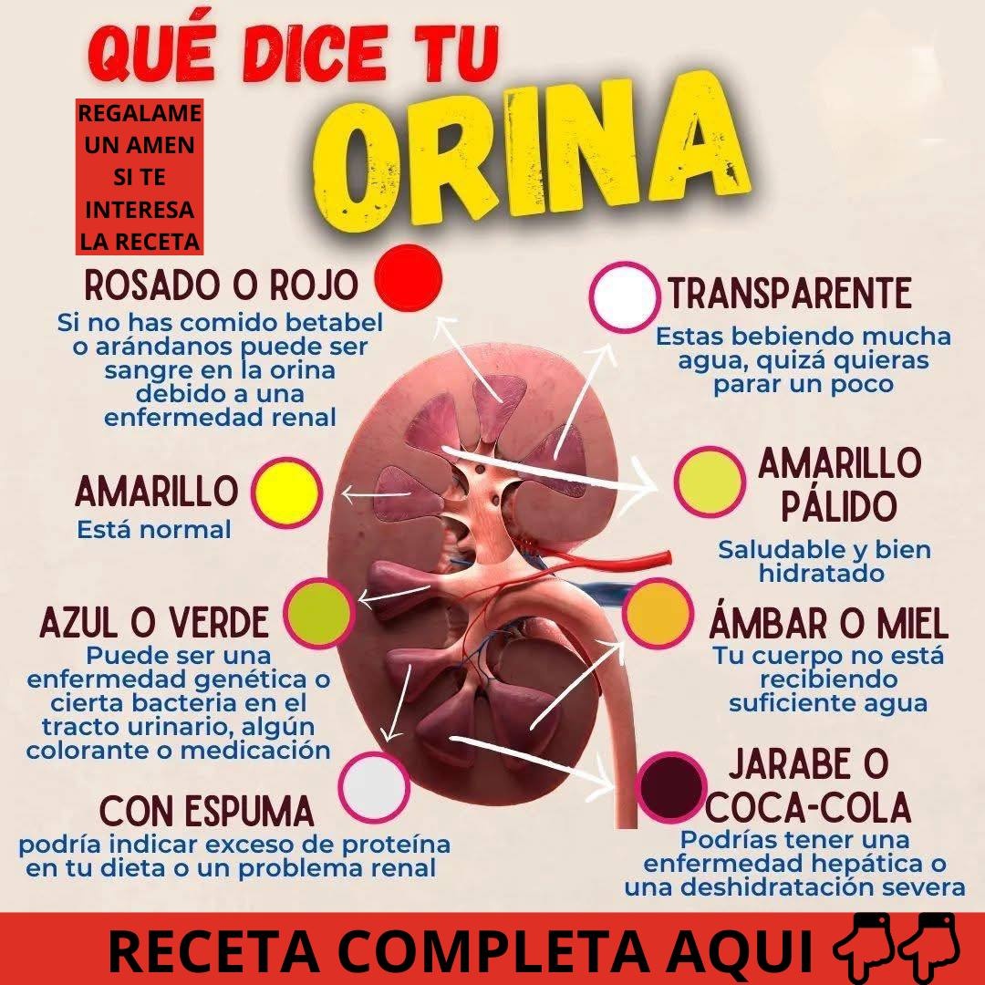 Color de la orina y su relación con la salud