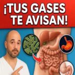 ¡Tus Gases Te Avisan! Entendiendo el Mensaje de tu Sistema Digestivo