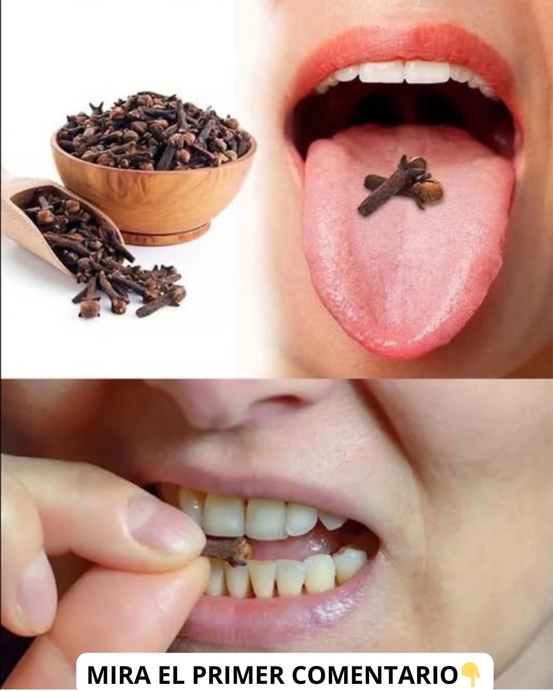 Clavos de olor