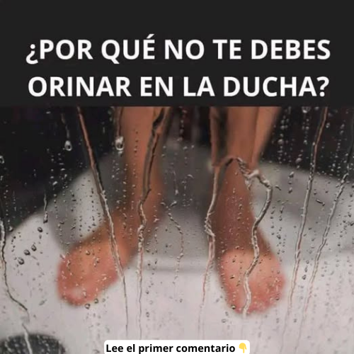 ¿Por qué no orinar en la ducha?