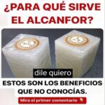 Los Beneficios del Alcanfor que No Conocías