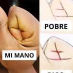 Las Manos que Hablan: Riqueza y Pobreza a Través de un Puño