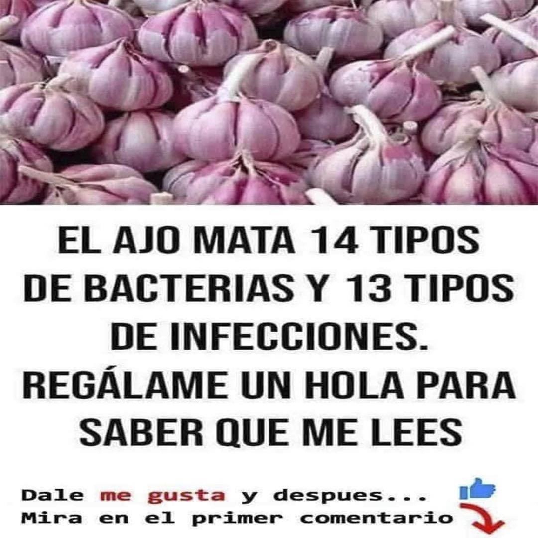 Bulbos de ajo