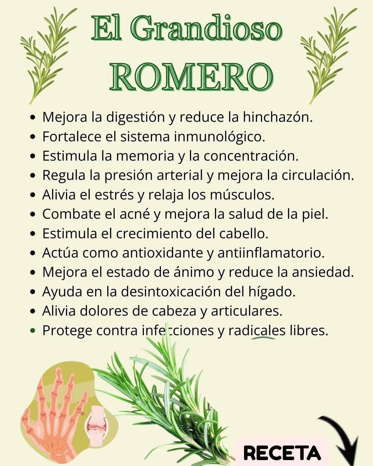 Beneficios del Romero
