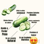 Beneficios del Pepino: Un Ingrediente Milenario para tu Salud