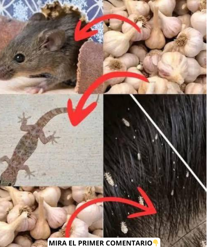 Método natural para el control de plagas