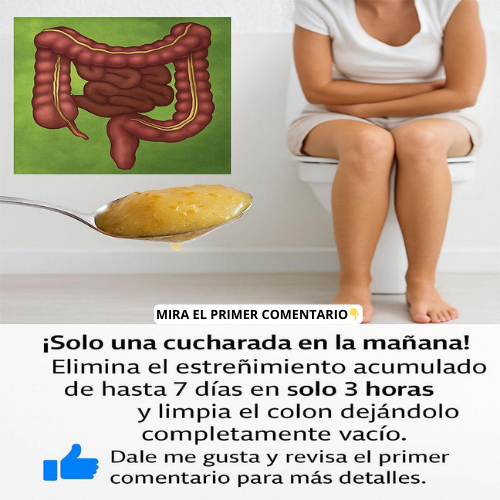 Gráfico del intestino grueso
