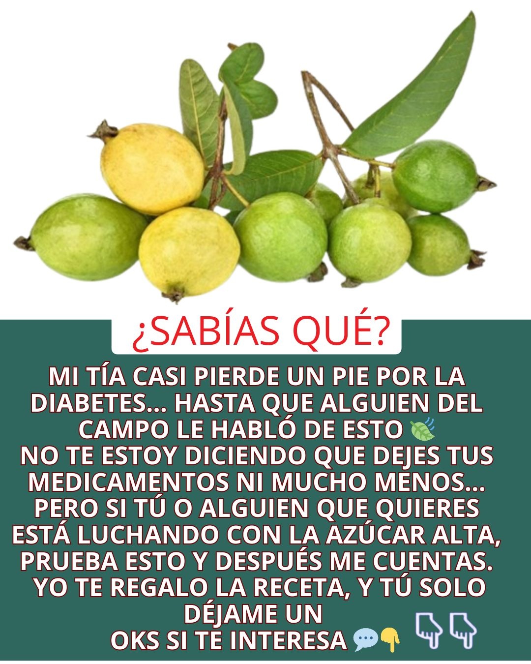 Racimo de guayabas frescas