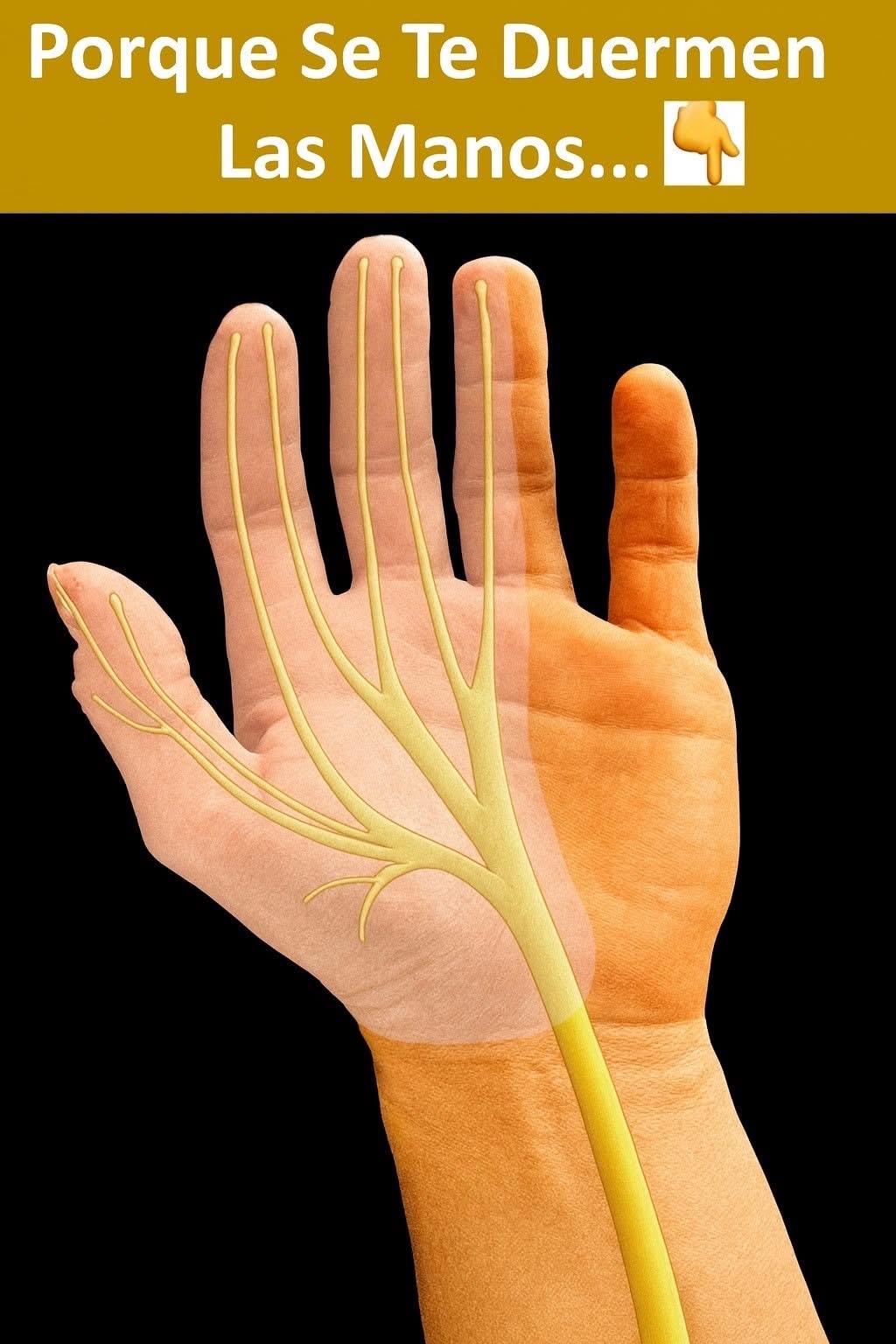 Nervios de la mano