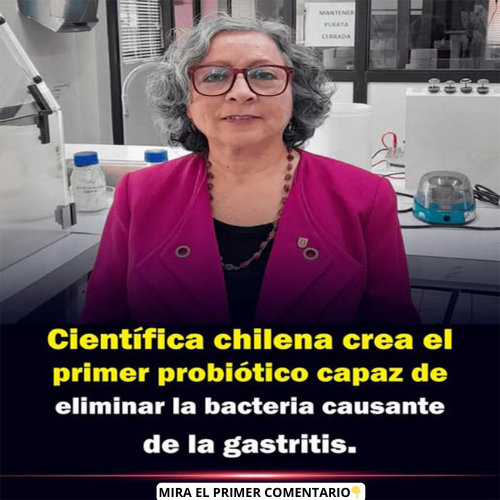 Científica chilena crea el primer probiótico capaz de eliminar la bacteria causante de la gastritis
