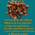 Los Increíbles Beneficios del Té de Clavo para Tu Salud