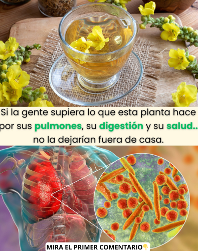 Planta amarilla y su infusión