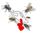 Remedios Caseros y Naturales para Tu Salud: Cuida tu Bienestar de Forma Efectiva