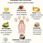 Infusiones Naturales para Cada Estado de Ánimo
