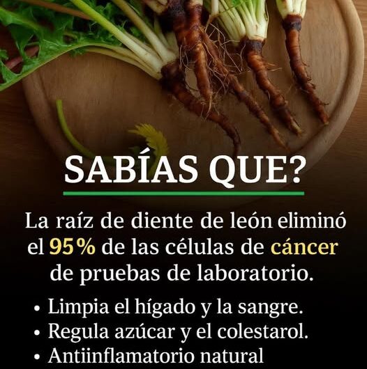 El Secreto Medicinal Mejor Guardado de la Raíz de León