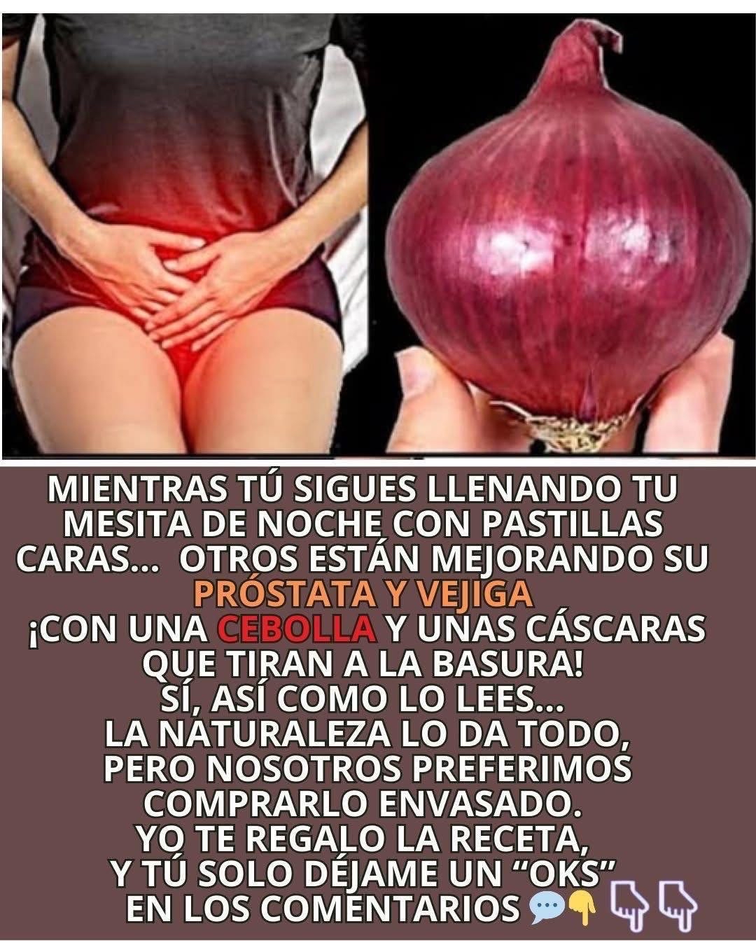 Cebolla como remedio natural para la próstata y vejiga