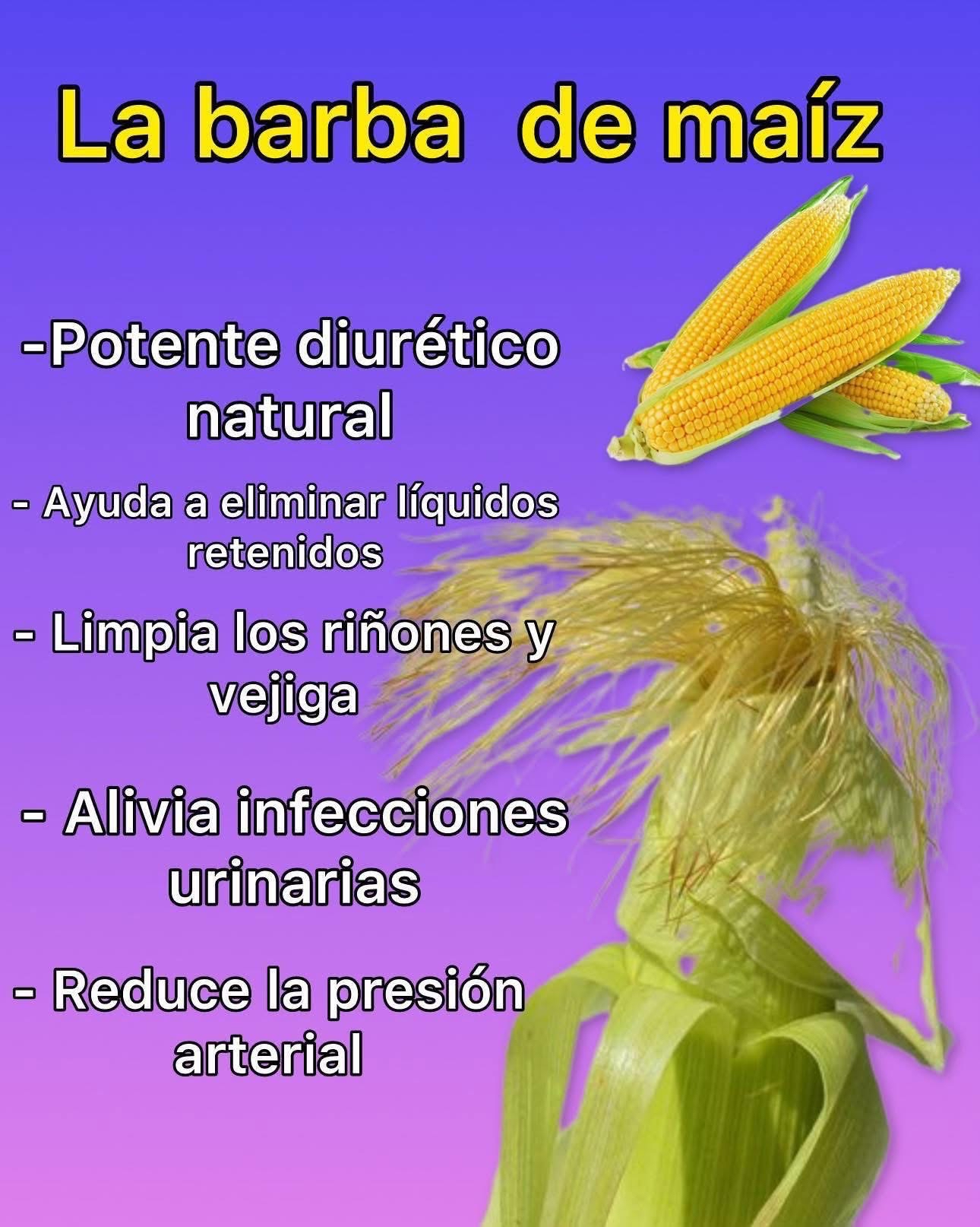 Beneficios de la Barba de Maíz