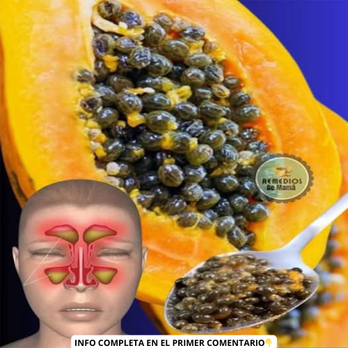 Papaya con semillas