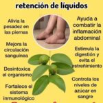 Beneficios de las Hojas de Guayaba para Combatir la Retención de Líquidos