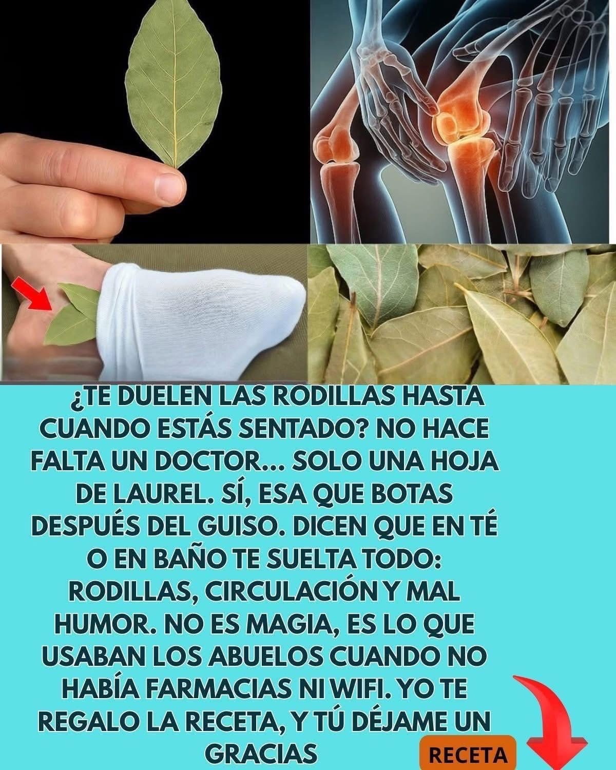Hojas de Laurel y Dolor de Rodillas