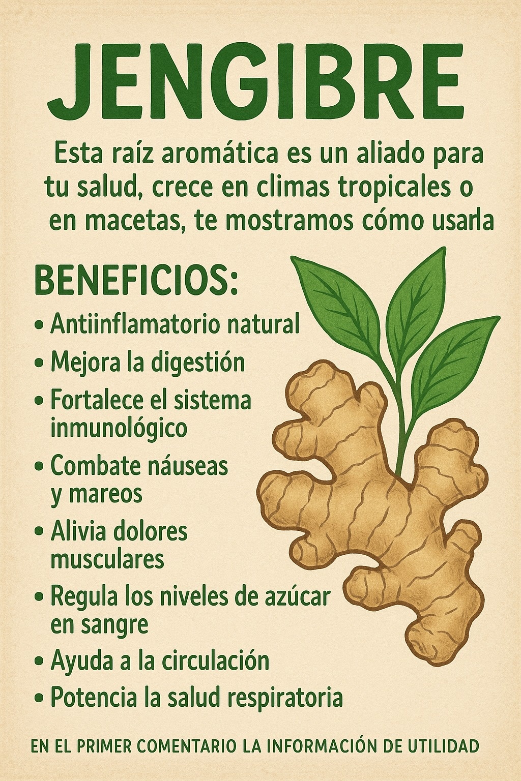 Beneficios del jengibre para la salud