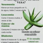 Beneficios del Aloe Vera: Remedios Naturales y Recetas de Salud