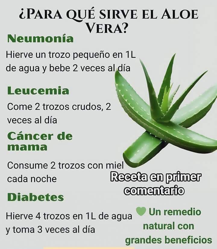 Usos del Aloe Vera