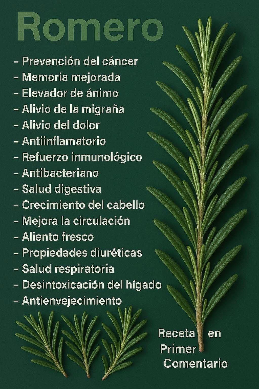 Beneficios del Romero