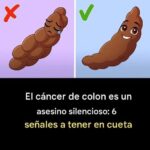 6 Señales de Problemas de Salud Intestinal que No Debes Ignorar