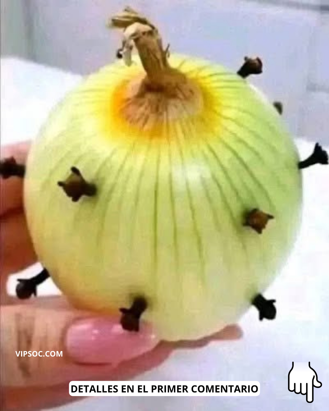 Cebolla con clavos de olor
